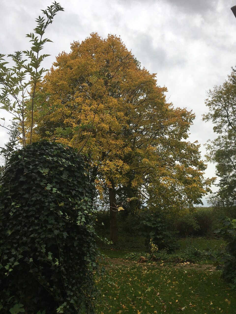 Buitenkant van Logies Op Skyldum met terras en tuin